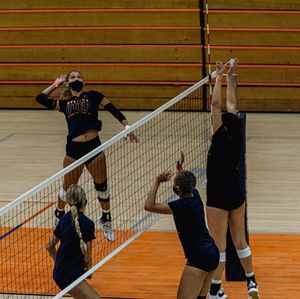 Image post by @utepvb on Instagram