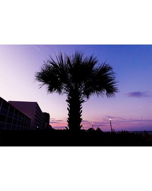 Image post by @jfreedphoto on Instagram