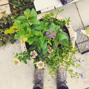 Image post by @emmalovewell on Instagram