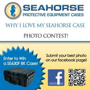 Image post by @seahorsecases on Instagram