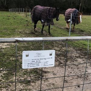 Image post by @equineidsolutions on Instagram
