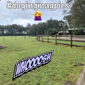 Image post by @equineidsolutions on Instagram