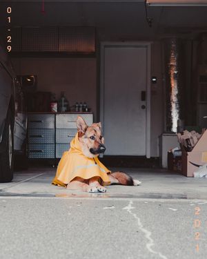 Image post by @yochanders on Instagram