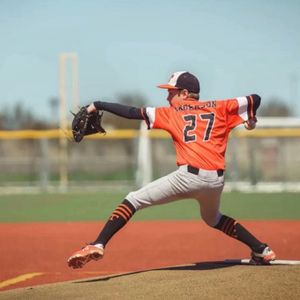 Image post by @rawlingstigers on Instagram