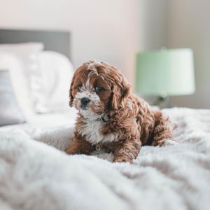 Image post by @rowannewstadtrealestate on Instagram