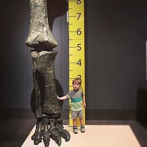 Image post by @visitoverlandpark on Instagram