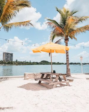 Image post by @visitsarasotacounty on Instagram