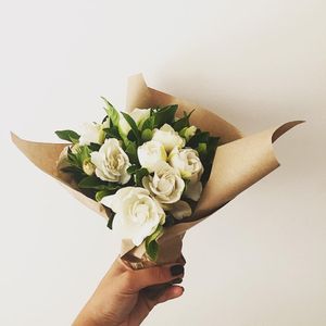Image post by @sophieb on Instagram
