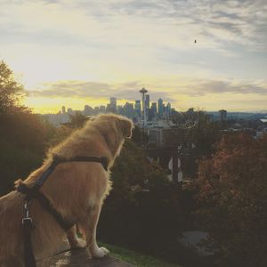 Image post by @amandakl on Instagram
