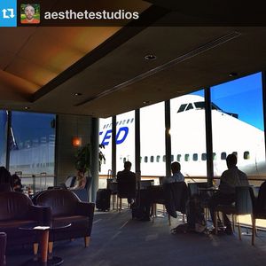Image post by @united on Instagram