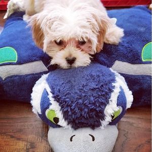 Image post by @blitztheseahawk on Instagram
