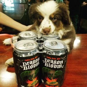 Image post by @grimmbrosbrew on Instagram