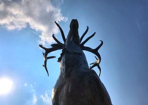 Image post by @fairfieldu on Instagram