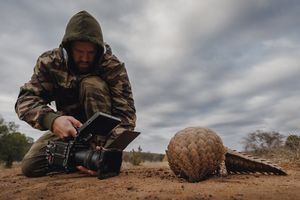Image post by @reddigitalcinema on Instagram