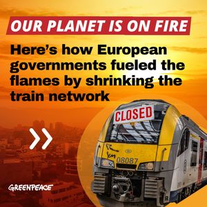 Image post by @greenpeace on Instagram