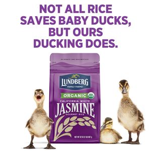 Image post by @lundbergfarms on Instagram