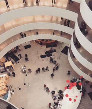 Image post by @amandakl on Instagram