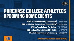 Image post by @purchasecollegeathletics on Instagram