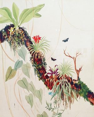 Image post by @drawingcenter on Instagram