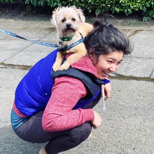 Image post by @amandakl on Instagram