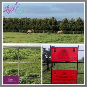 Image post by @equineidsolutions on Instagram