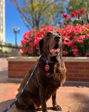 Image post by @creighton1878 on Instagram