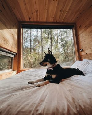 Image post by @getawayhouse on Instagram