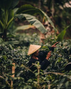 Image post by @nespresso on Instagram