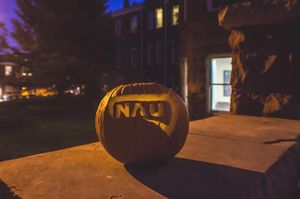 Image post by @nauflagstaff on Instagram