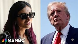 Video post by @msnbc on YouTube