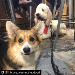 Image post by @navigationbrewingco on Instagram