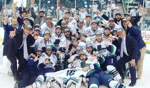 Image post by @fl_everblades on Instagram