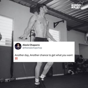 Image post by @boxingbullies on Instagram