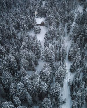 Image post by @aaron.k.baker on Instagram