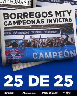Image post by @borregostec on Instagram