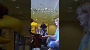 Video post by @marquetteu on YouTube