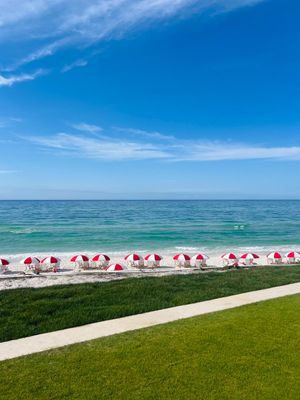 Image post by @SouthWalton on Twitter/X