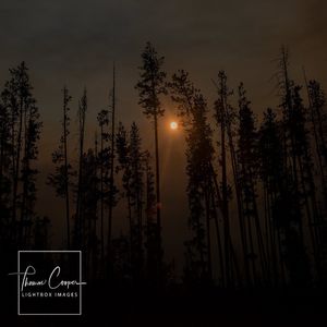 Image post by @lightboximages on Instagram