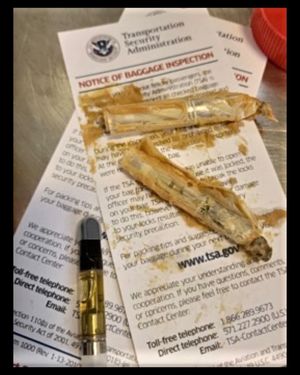 Image post by @tsa on Instagram
