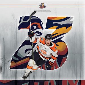 Image post by @swamprabbits on Instagram
