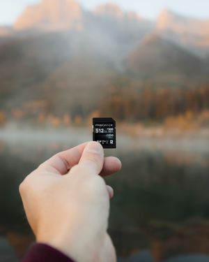 Image post by @progradedigital on Instagram