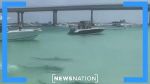 Video post by @newsnation on YouTube