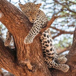 Image post by @natgeo on Instagram