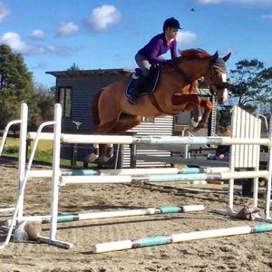 Image post by @snaffle_it on Instagram