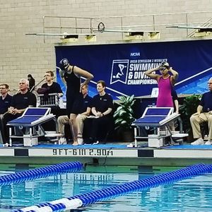 Image post by @purduewswimdive on Instagram