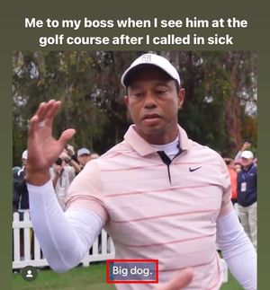 Image post by @fairway_papi on Instagram
