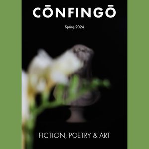 Image post by @confingopublishing on Instagram