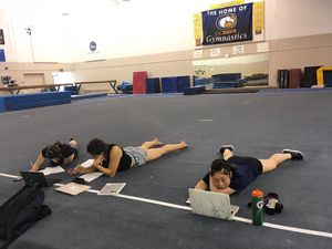 Image post by @ucdavisgym on Instagram