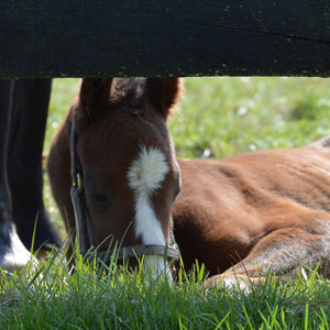 Image post by @margaux.farm on Instagram