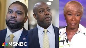 Video post by @msnbc on YouTube